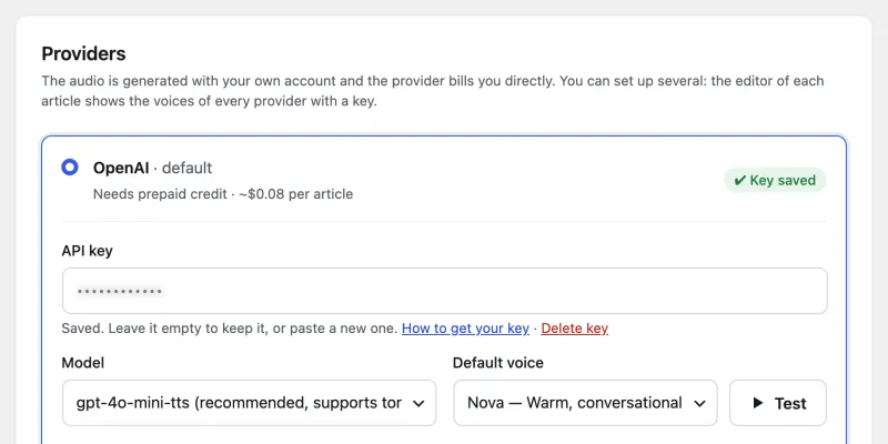 xtAudio Settings → Provider and voice: the provider, the model, the default voice and the Test button.